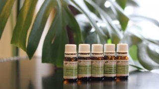 水も肥料もやらないで育てたハーブの香り 水も肥料もやらないで育てたハーブの香り