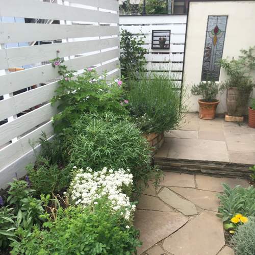 JAMAHA認定メディカルハーブ資格講座||らくらくエコショップアロマの教室