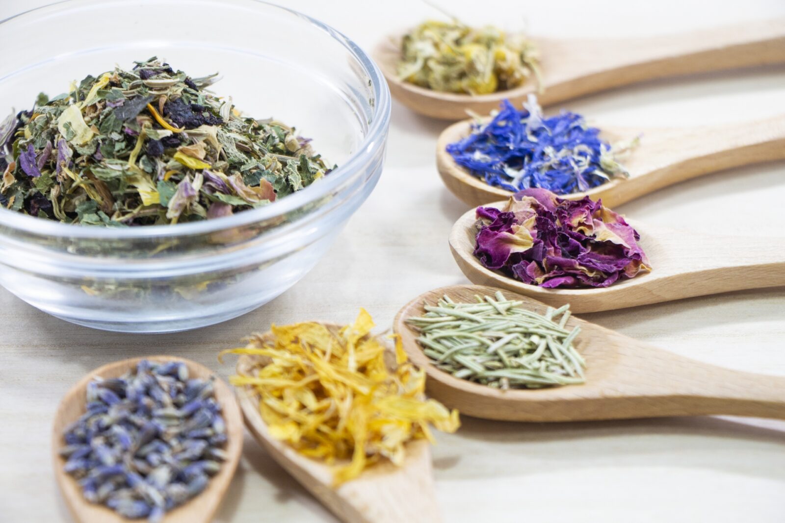 クラフトプラスのキャンセルについて クラフトプラスのキャンセルについて