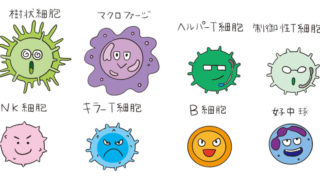 アロマが活きる、わかりやすい免疫講座 アロマが活きる、わかりやすい免疫講座