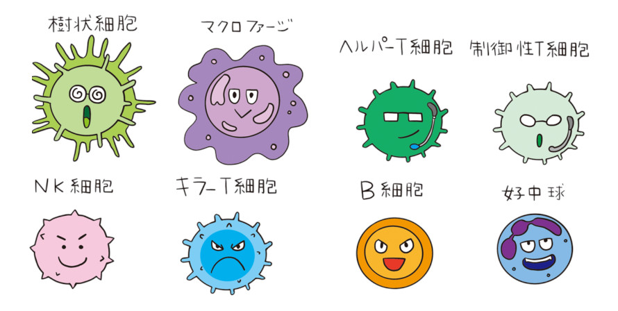 アロマが活きる、わかりやすい免疫講座 アロマが活きる、わかりやすい免疫講座