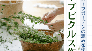 5/28ハーブピクルスづくりワークショップを開催します。 5/28ハーブピクルスづくりワークショップを開催します。