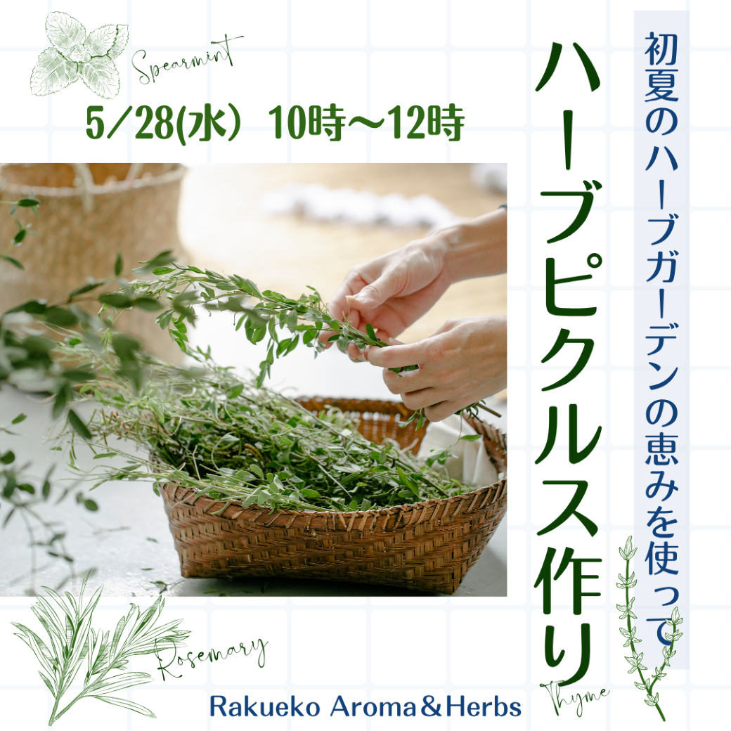 5/28ハーブピクルスづくりワークショップを開催します。 5/28ハーブピクルスづくりワークショップを開催します。