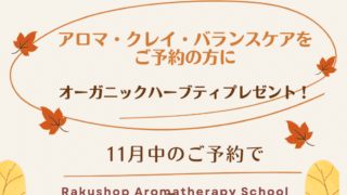 １１月はサロンの「アロマ・クレイ・バランスケア」メニューのご予約で、オーガニックハーブティプレゼント！