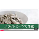 浄化のハーブ「ホワイトセージ」について【動画】