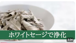 浄化のハーブ「ホワイトセージ」について【動画】 浄化のハーブ「ホワイトセージ」について【動画】