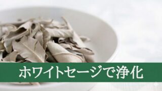 浄化のハーブ「ホワイトセージ」について【動画】