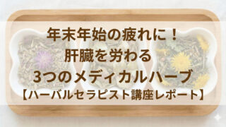 肝臓をハーブで労わる！年末年始の疲れを癒やす「肝臓3兄弟」とは？【講座レポート】