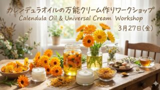 3／27(金)開催 🌸 太陽の花「カレンデュラ」を使って、春のゆらぎ肌を優しくケアする「カレンデュラ万能クリームづくり」ワークショップ