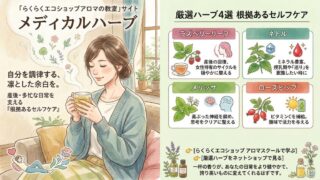 メディカルハーブで自分を調律する。産後や多忙な日常を支える「根拠あるセルフケア」と厳選4種