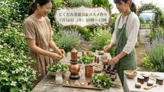 7/16(木)開催 【日本が誇る和のハーブの恵みをお肌に】どくだみ蒸留会&コスメ作りワークショップ開催!🌿ご参加募集のお知らせ 7/16(木)開催 【日本が誇る和のハーブの恵みをお肌に】どくだみ蒸留会&コスメ作りワークショップ開催!🌿ご参加募集のお知らせ