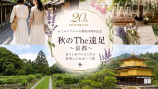 ２０周年企画第三弾　 　【10/6開催　秋のThe遠足】🌿ご参加募集のお知らせ